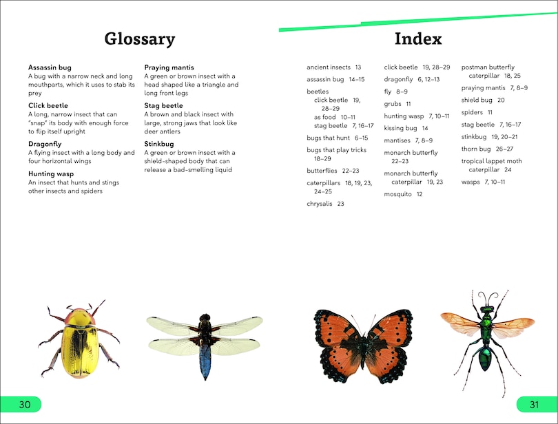 Sample content_DK Super Readers Level 3 Bugs! Bugs! Bugs!