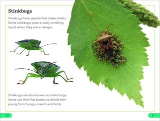 Sample content 2_DK Super Readers Level 3 Bugs! Bugs! Bugs!