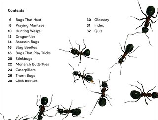 Sample content 3_DK Super Readers Level 3 Bugs! Bugs! Bugs!