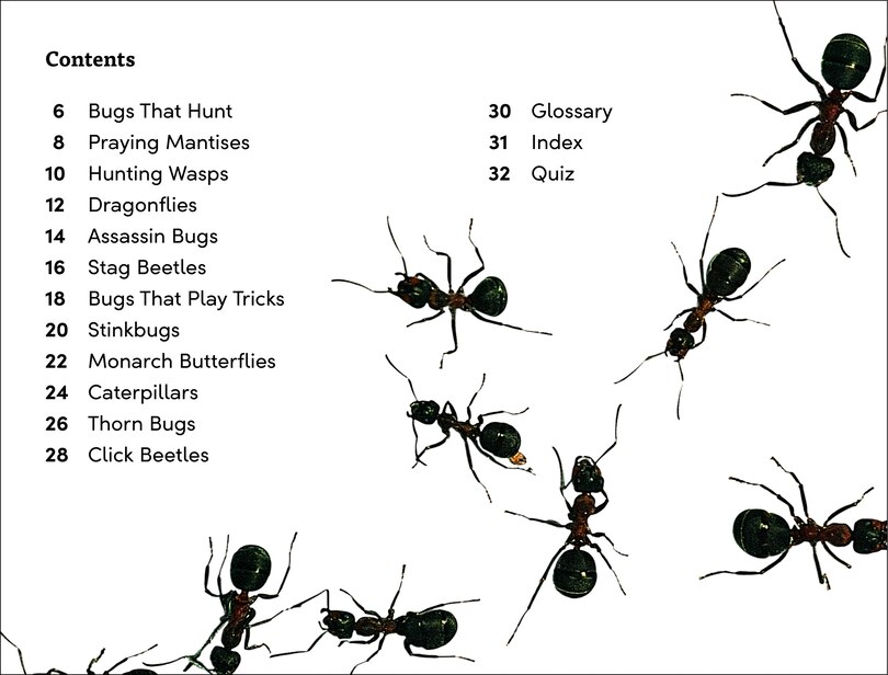 Sample content 3_DK Super Readers Level 3 Bugs! Bugs! Bugs!