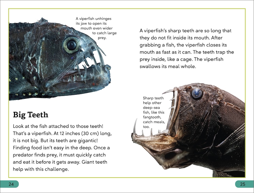 Sample content 2_DK Super Readers Level 3 Deep-Sea Creatures