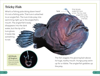 Sample content 3_DK Super Readers Level 3 Deep-Sea Creatures