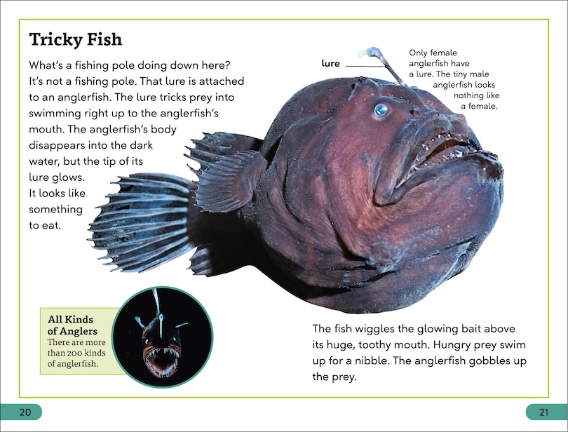 Sample content 3_DK Super Readers Level 3 Deep-Sea Creatures