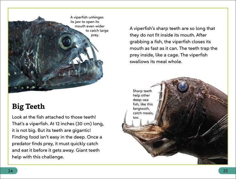 Sample content 2_DK Super Readers Level 3 Deep-Sea Creatures