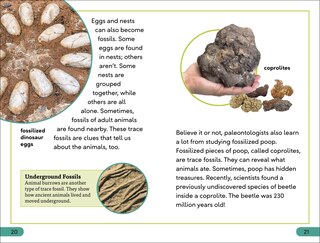 Sample content 2_DK Super Readers Level 3 Fossils