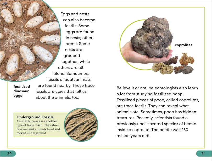 Sample content 2_DK Super Readers Level 3 Fossils
