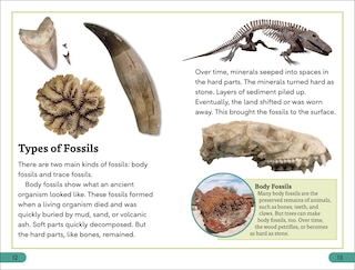 Sample content 3_DK Super Readers Level 3 Fossils
