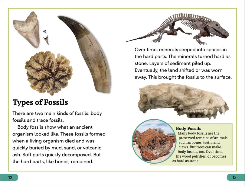 Sample content 3_DK Super Readers Level 3 Fossils