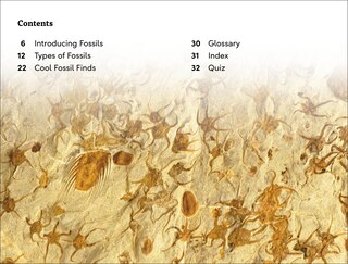 Sample content 4_DK Super Readers Level 3 Fossils