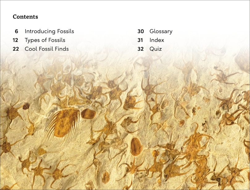 Sample content 4_DK Super Readers Level 3 Fossils