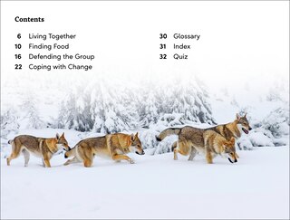 Sample content_DK Super Readers Level 3 Wild Animal Groups