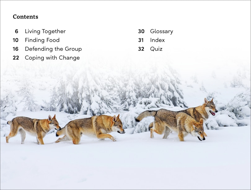 Sample content_DK Super Readers Level 3 Wild Animal Groups