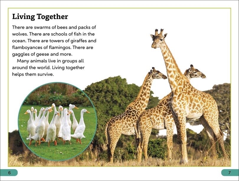 Sample content 2_DK Super Readers Level 3 Wild Animal Groups