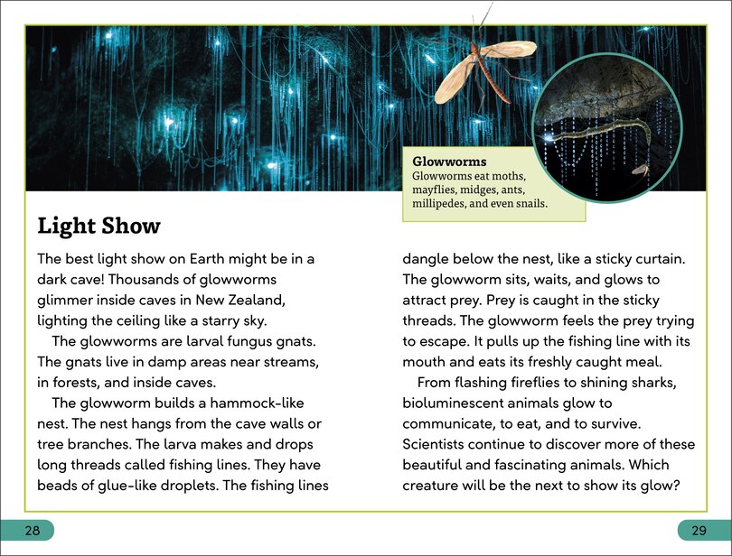 Sample content 2_DK Super Readers Level 3 Bioluminescent Animals