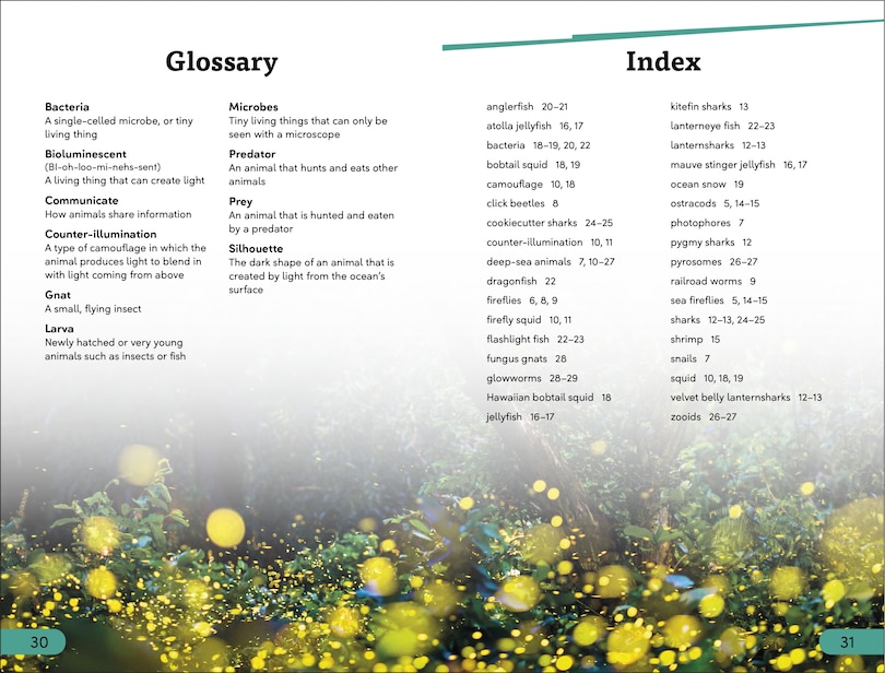 Aper&ccedil;u du contenu_DK Super Readers Level 3 Bioluminescent Animals