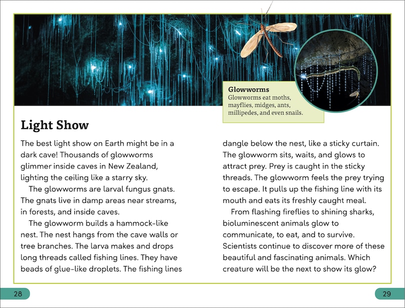 Aper&ccedil;u du contenu 2_DK Super Readers Level 3 Bioluminescent Animals