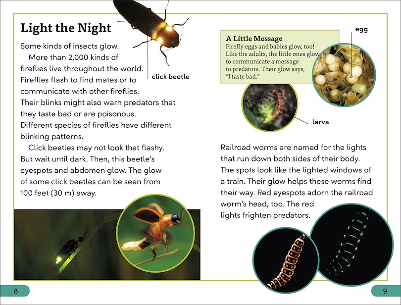 Aper&ccedil;u du contenu 3_DK Super Readers Level 3 Bioluminescent Animals