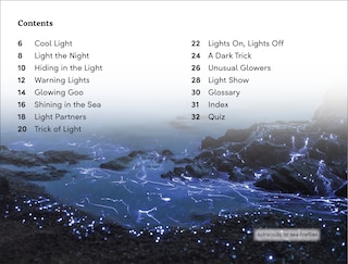 Aper&ccedil;u du contenu 4_DK Super Readers Level 3 Bioluminescent Animals