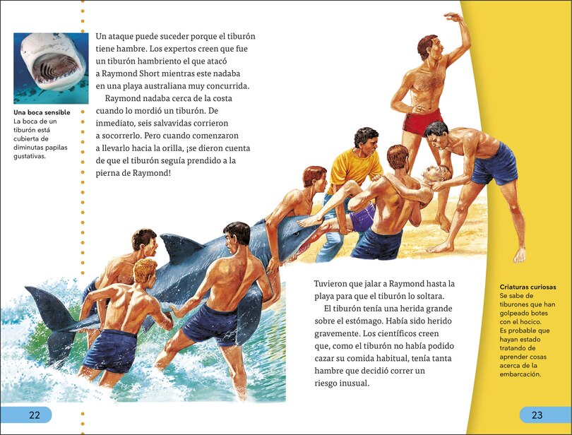 Sample content 4_DK Super Readers Level 4 Spanish Translation Shark Attack - Ataques de tiburones