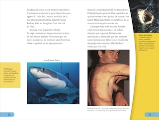 Aperçu du contenu 3_DDK Super Readers Level 4 French Translation Shark Attack - Danger : Requins