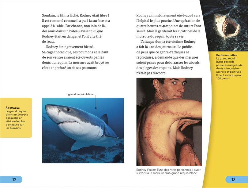 Aperçu du contenu 3_DDK Super Readers Level 4 French Translation Shark Attack - Danger : Requins