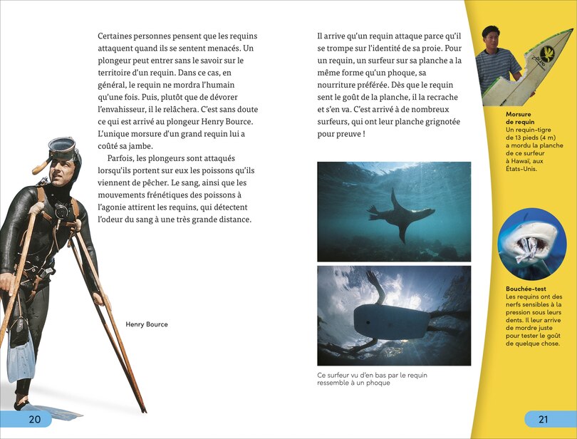 Aperçu du contenu 5_DDK Super Readers Level 4 French Translation Shark Attack - Danger : Requins
