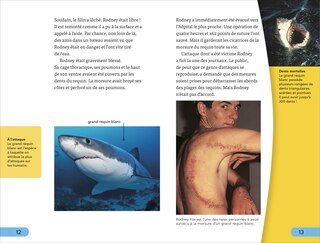 Aper&ccedil;u du contenu 3_DK Super Readers Level 4 French Translation Shark Attack - Danger : Requins