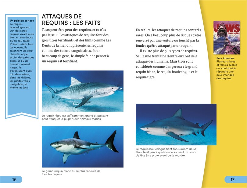 Aper&ccedil;u du contenu 4_DK Super Readers Level 4 French Translation Shark Attack - Danger : Requins