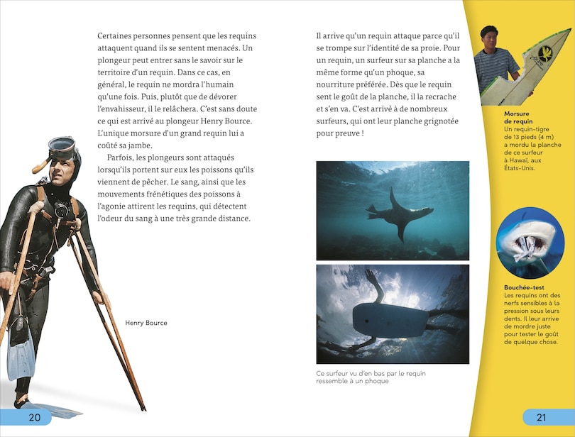 Aper&ccedil;u du contenu 5_DK Super Readers Level 4 French Translation Shark Attack - Danger : Requins