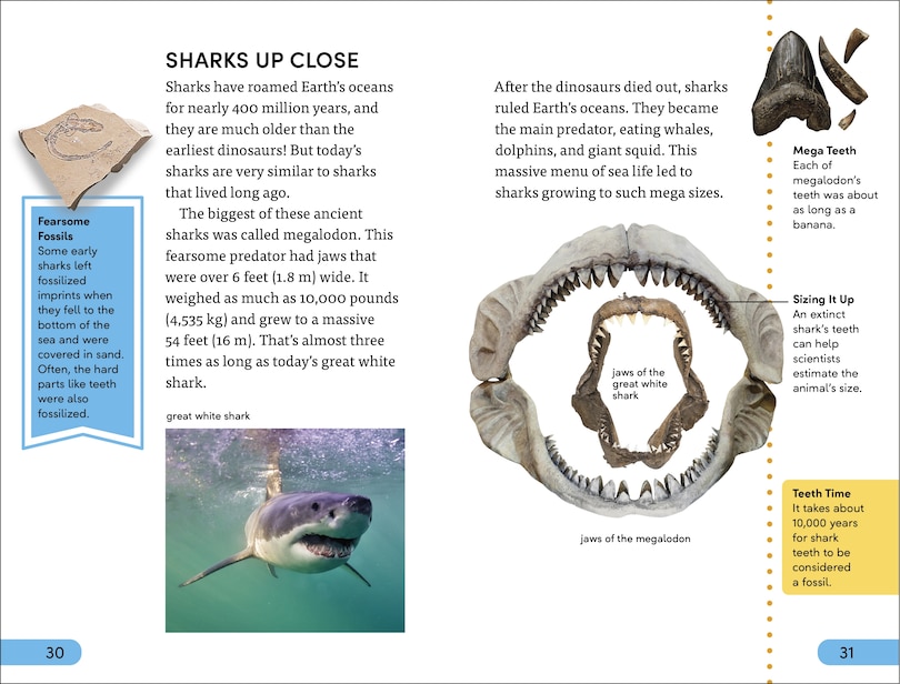 Aper&ccedil;u du contenu 2_DK Super Readers Level 4 Shark Attack