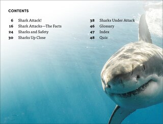 Aper&ccedil;u du contenu 4_DK Super Readers Level 4 Shark Attack