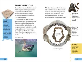 Aper&ccedil;u du contenu 2_DK Super Readers Level 4 Shark Attack