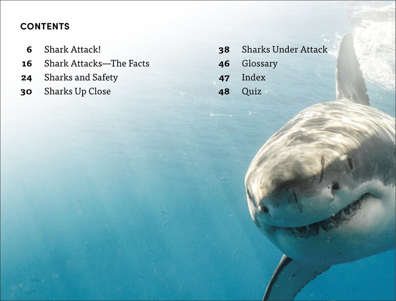 Aper&ccedil;u du contenu 4_DK Super Readers Level 4 Shark Attack