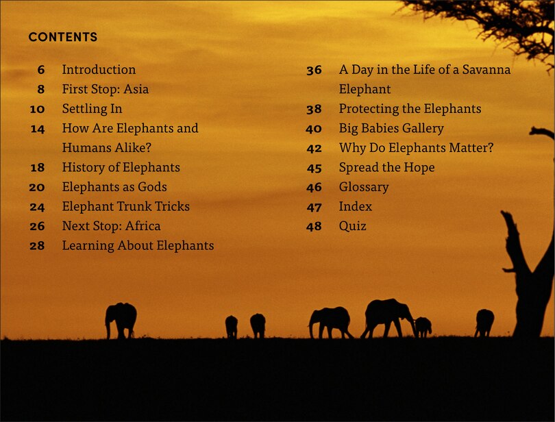 Aper&ccedil;u du contenu 4_DK Super Readers Level 4 Hope for the Elephants