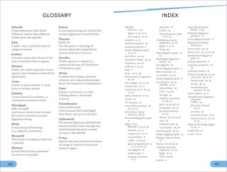 Aper&ccedil;u du contenu_DK Super Readers Level 4 Secrets of the Mummies