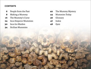 Aper&ccedil;u du contenu 4_DK Super Readers Level 4 Secrets of the Mummies