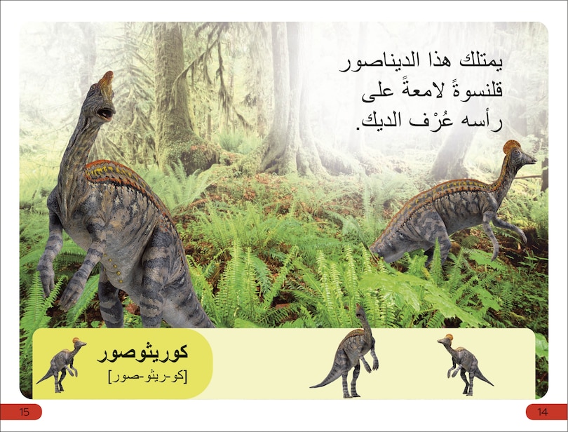 Sample content 3_DK Super Readers Pre-level Meet the Dinosaurs (Arabic translation)