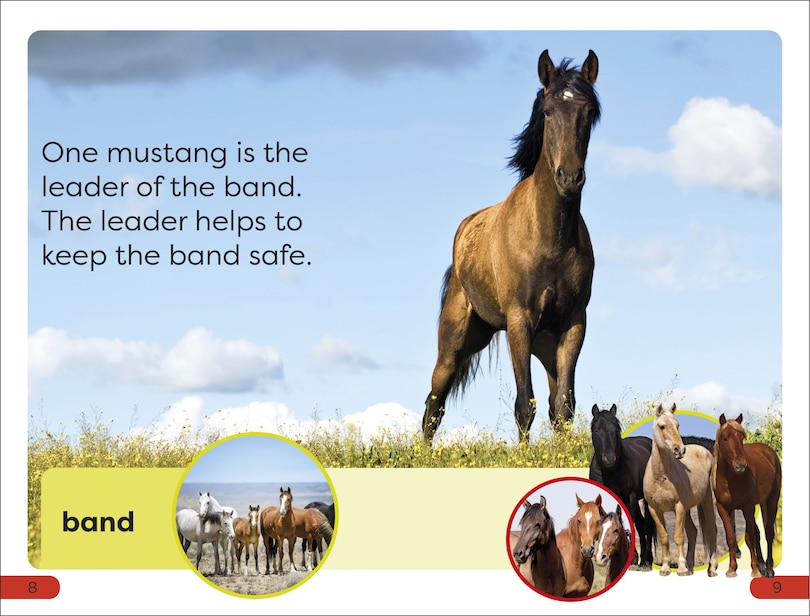 Sample content_DK Super Readers Pre-Level A Mustang's Tale