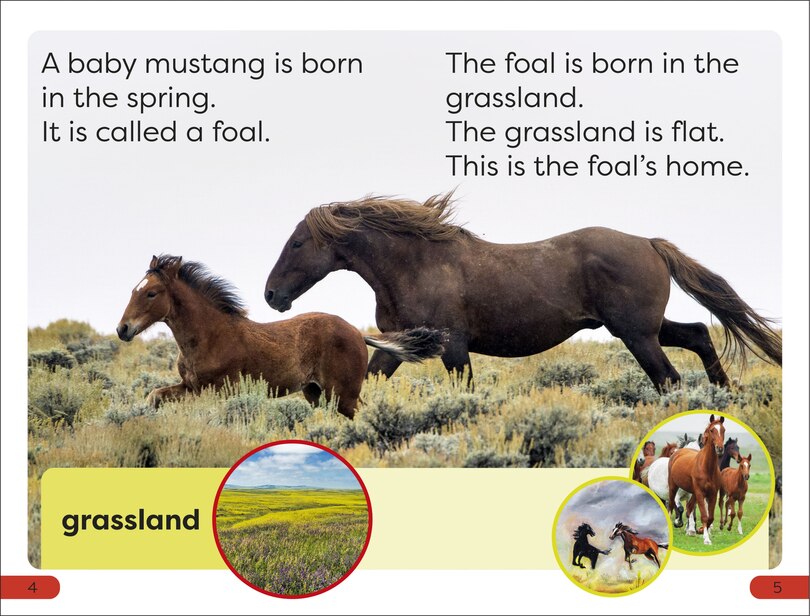 Sample content 2_DK Super Readers Pre-Level A Mustang's Tale