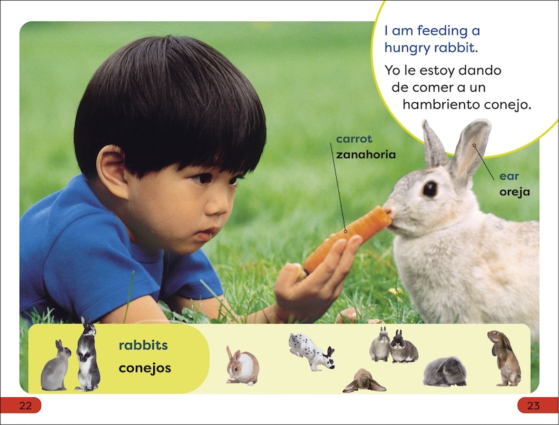 Sample content 4_DK Super Readers Pre-Level English-Spanish Bilingual A Day at the Petting Zoo â€“ Un dia en el zoologico interactivo