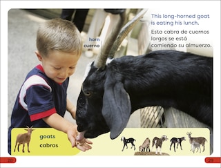 Sample content 5_DK Super Readers Pre-Level English-Spanish Bilingual A Day at the Petting Zoo â€“ Un dia en el zoologico interactivo