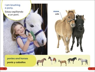 Sample content_DK Super Readers Pre-Level English-Spanish Bilingual A Day at the Petting Zoo â€“ Un dÃ­a en el zoolÃ³gico interactivo