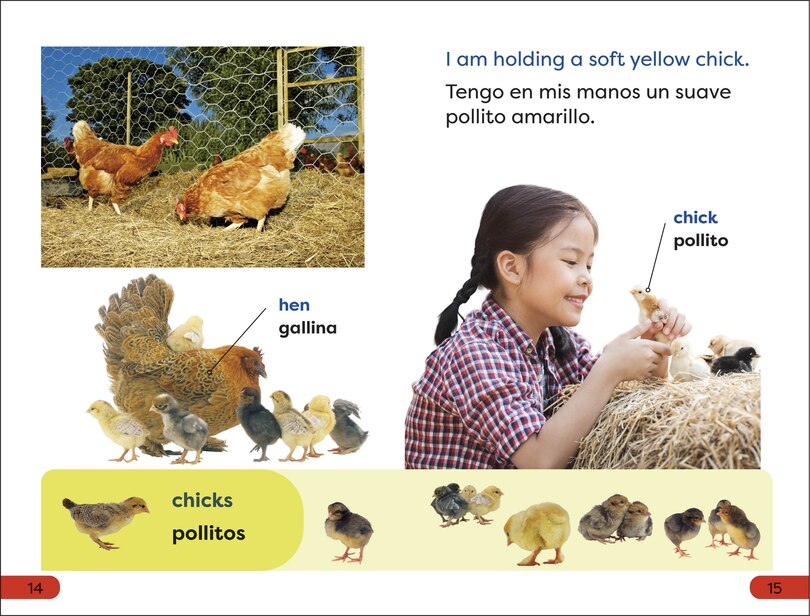 Sample content 2_DK Super Readers Pre-Level English-Spanish Bilingual A Day at the Petting Zoo â€“ Un dÃ­a en el zoolÃ³gico interactivo