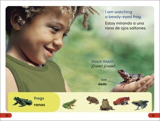 Sample content 3_DK Super Readers Pre-Level English-Spanish Bilingual A Day at the Petting Zoo â€“ Un dÃ­a en el zoolÃ³gico interactivo