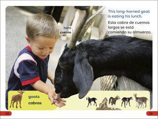 Sample content 5_DK Super Readers Pre-Level English-Spanish Bilingual A Day at the Petting Zoo â€“ Un dÃ­a en el zoolÃ³gico interactivo