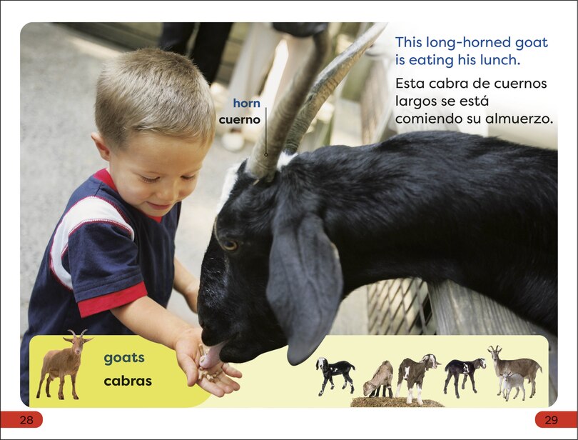 Sample content 5_DK Super Readers Pre-Level English-Spanish Bilingual A Day at the Petting Zoo â€“ Un dÃ­a en el zoolÃ³gico interactivo