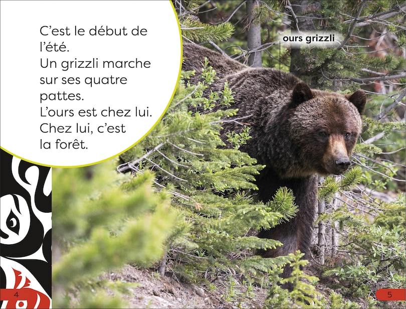 Aperçu du contenu_DK Super Readers Pre-level French Translation A Bear's Tale - Une Histoire d'ours