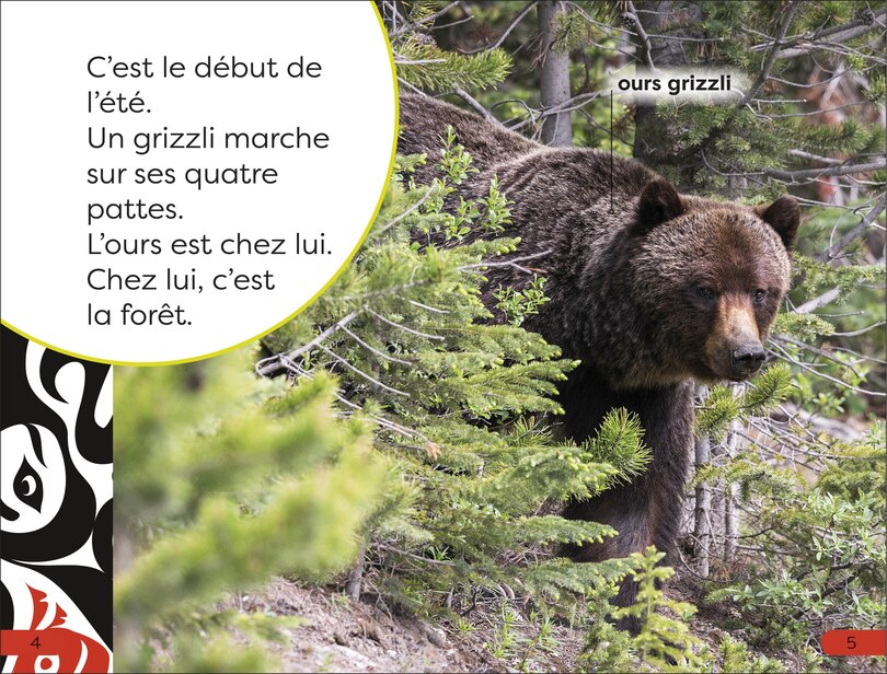 Sample content_DK Super Readers Pre-level Une Histoire d'ours (A Bear's Tale)