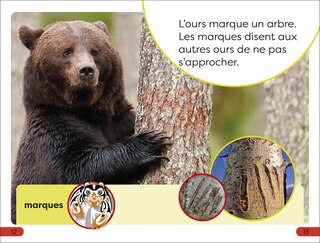 Sample content 3_DK Super Readers Pre-level Une Histoire d'ours (A Bear's Tale)