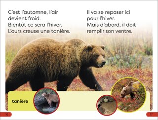 Sample content 4_DK Super Readers Pre-level Une Histoire d'ours (A Bear's Tale)